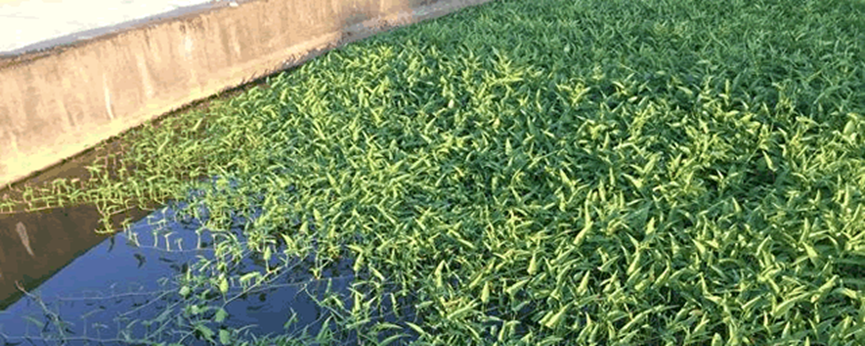 1659598741124490.png 1659598741124490.png