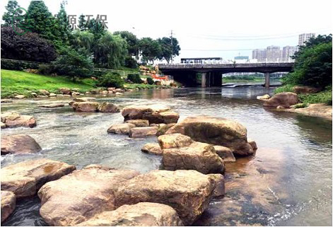 活性污泥法处理污水的工作原理，以及受哪些因素影响