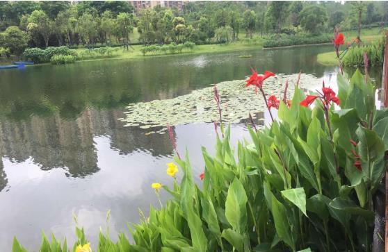 农村生活污水羞羞漫画十八禁找哪家公司好？