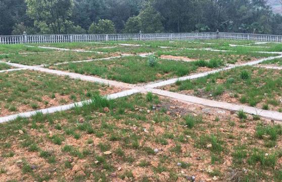 农村环境综合整治存在哪些问题？