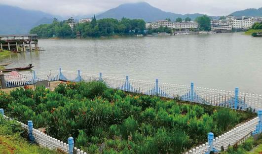 浅谈农村污水主要来源有哪些？