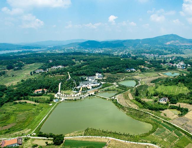 农村生活污水怎么处理