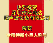 羞羞漫画官网：荣获深圳市第五批专精特新“小巨人”企业荣誉称号